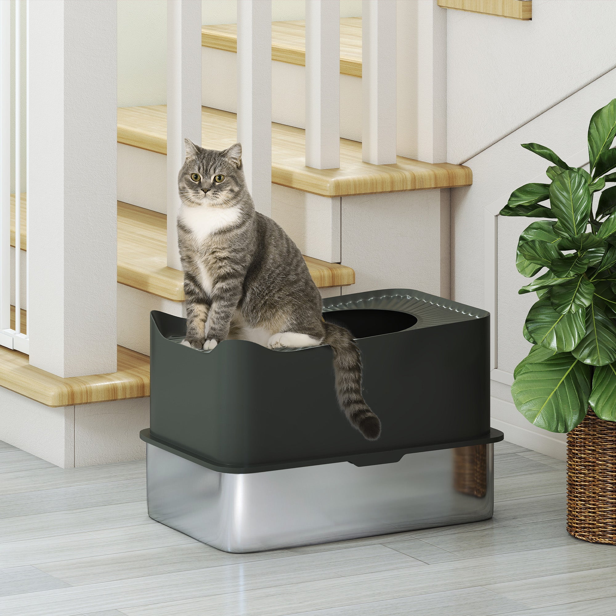 Cat Litter Box