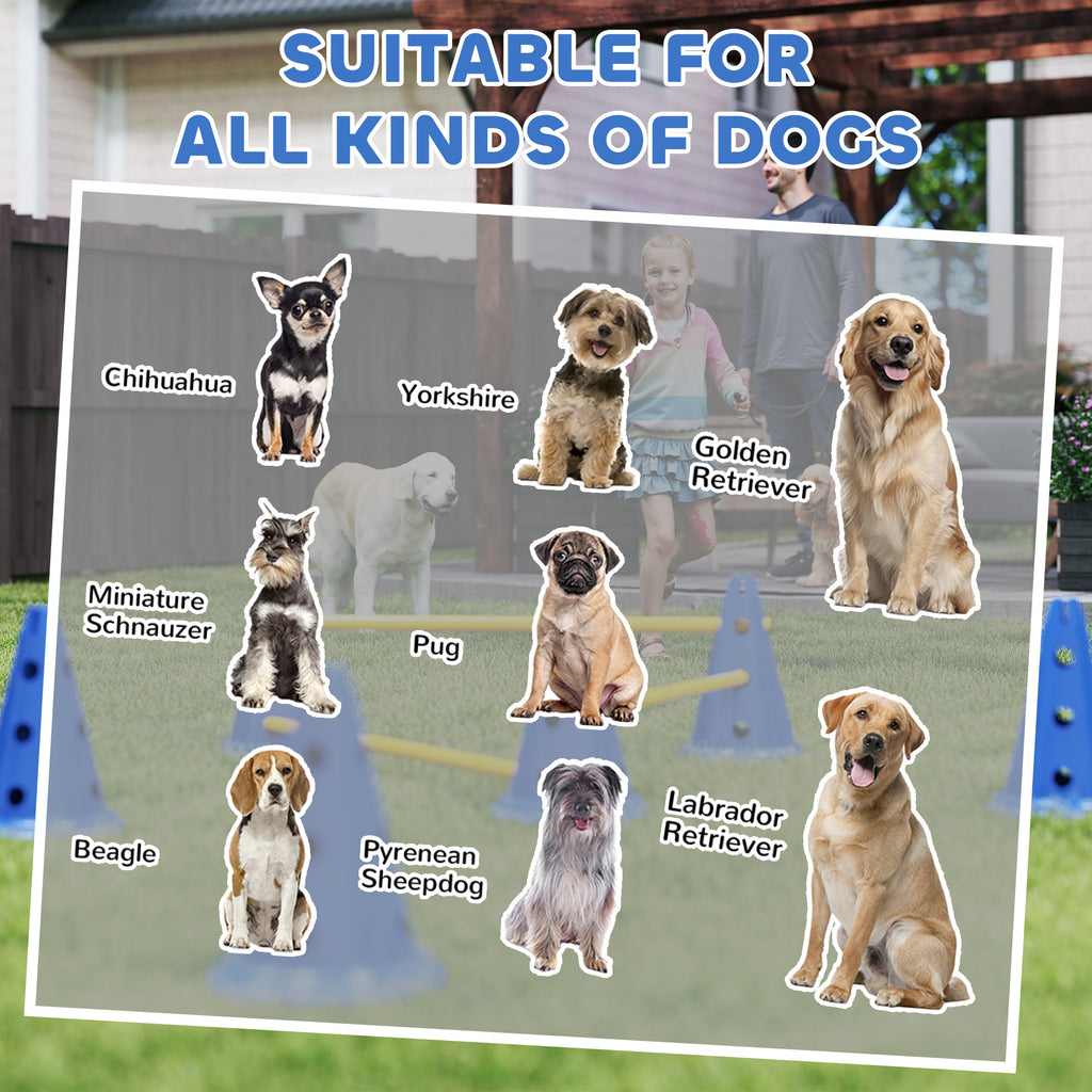 Dog Agility Equipment Set of Eight Cones