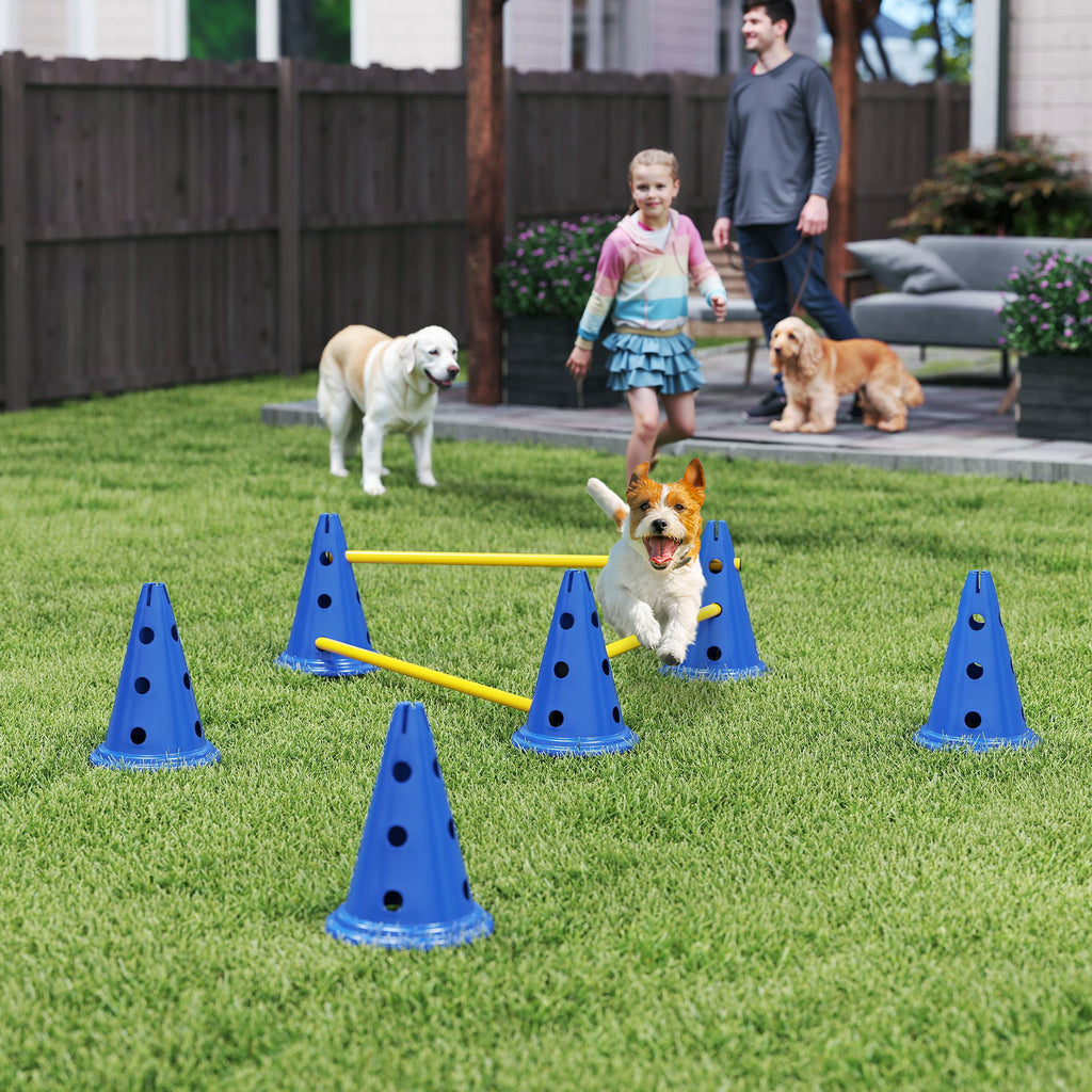 Dog Agility Equipment Set of Eight Cones