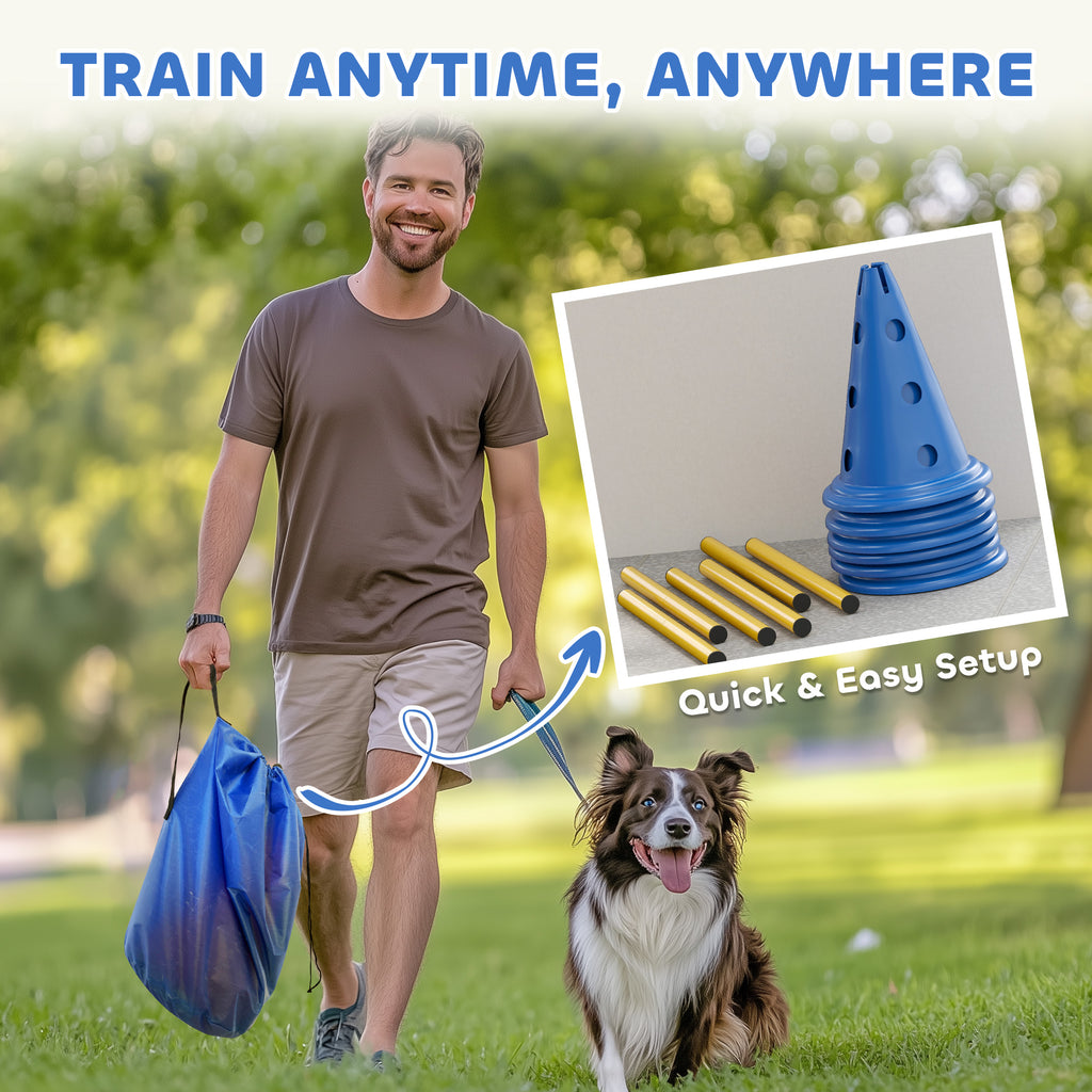 Dog Agility Equipment Set of Eight Cones